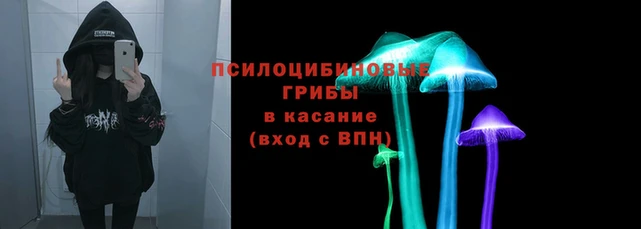 стафф Абдулино