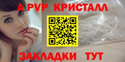 спиды Аргун
