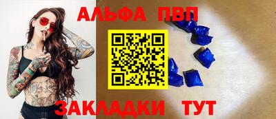 спиды Аргун