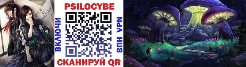 Галлюциногенные грибы GOLDEN TEACHER  Владикавказ 