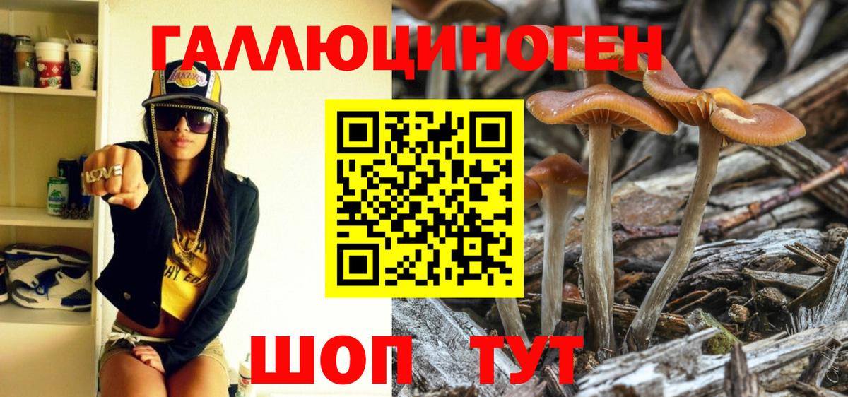 Галлюциногенные грибы мухоморы Владикавказ