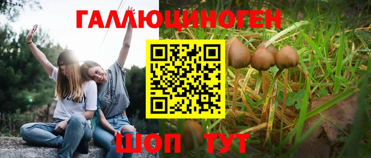 Владикавказ  Галлюциногенные грибы прущие грибы  Вход с VPN  Галлюциногенные грибы мухоморы 